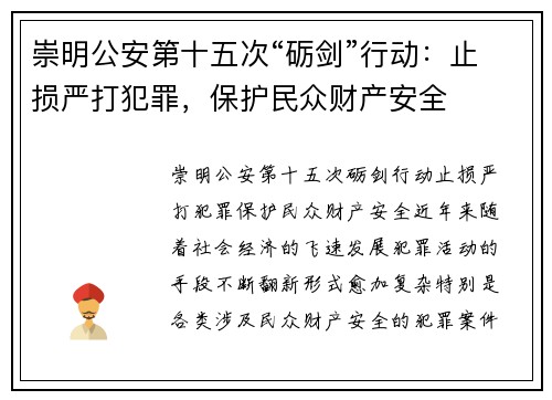 崇明公安第十五次“砺剑”行动：止损严打犯罪，保护民众财产安全