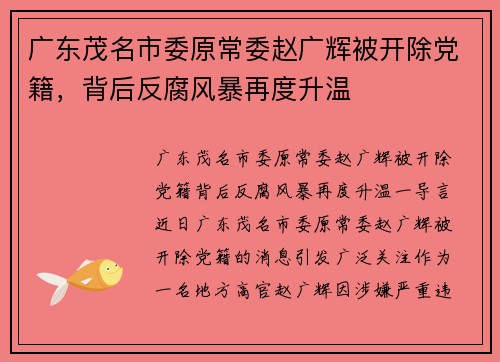 广东茂名市委原常委赵广辉被开除党籍，背后反腐风暴再度升温