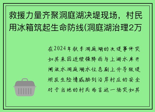 救援力量齐聚洞庭湖决堤现场，村民用冰箱筑起生命防线(洞庭湖治理2万亿)